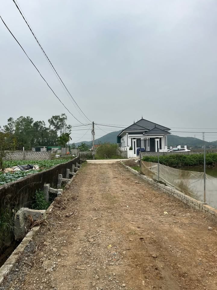 Đất nền 125m² tại Khối 20, Mai Hùng, giá chỉ 800 triệu - Hướng Nam mát mẻ!