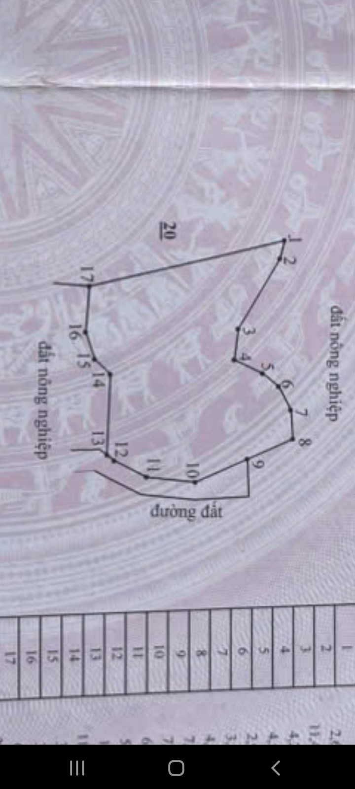 Đất thổ cư Hàm Chính 676m² giá chỉ 200 triệu - Sổ đỏ chính chủ!