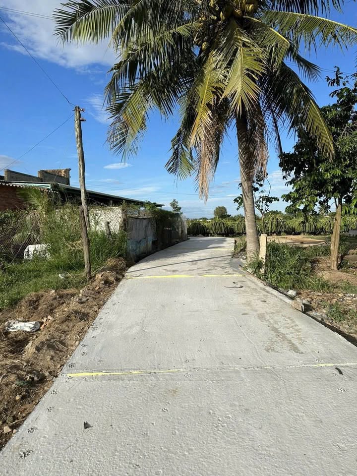 Đất cây trồng Hàm Hiệp 2700m² giá 1.4 tỷ - Phù hợp làm nhà vườn nghỉ dưỡng!