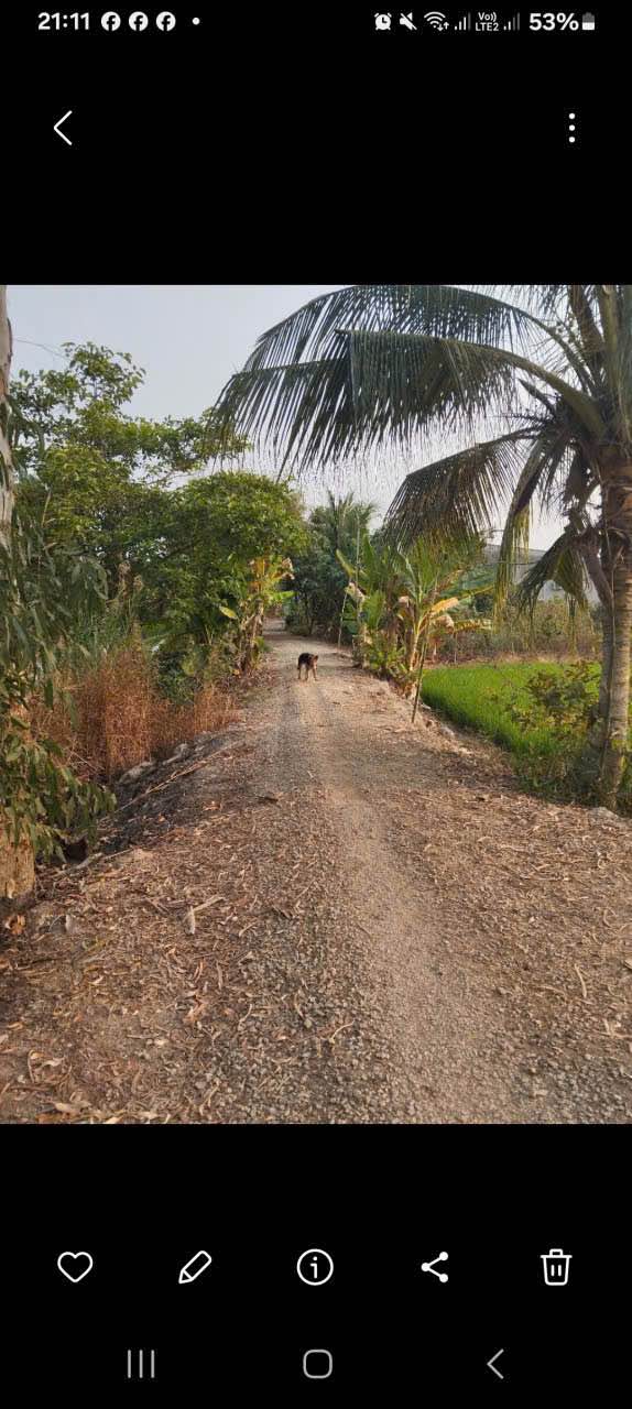 Đất nông nghiệp 5 công tại Phương Thịnh, Đồng Tháp - Giá chỉ 1.716 tỷ