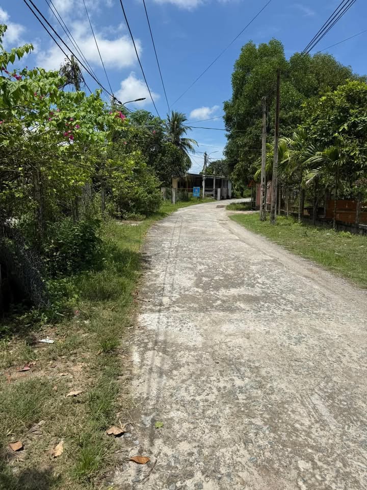 Đất thổ cư Tịch Tây, Tam Nghĩa 120m² giá 620 triệu - Sổ đỏ chính chủ!