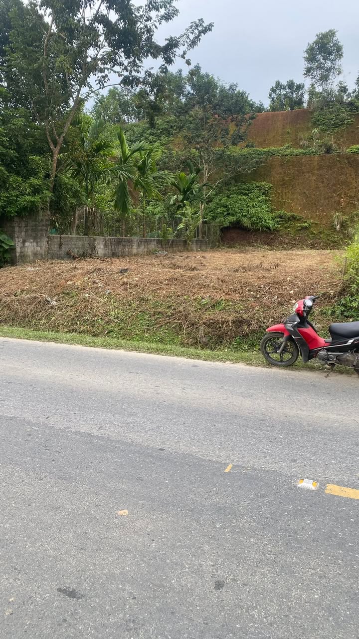Đất nền Phong Hải, Bảo Thắng, Lào Cai 289m² giá 600 triệu - Chính chủ bán gấp!