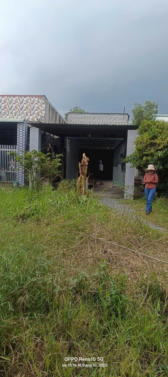 Nhà cấp 4 xã Đức Lập Hạ, 385m² giá 1.1 tỷ - Cơ hội đầu tư tuyệt vời!