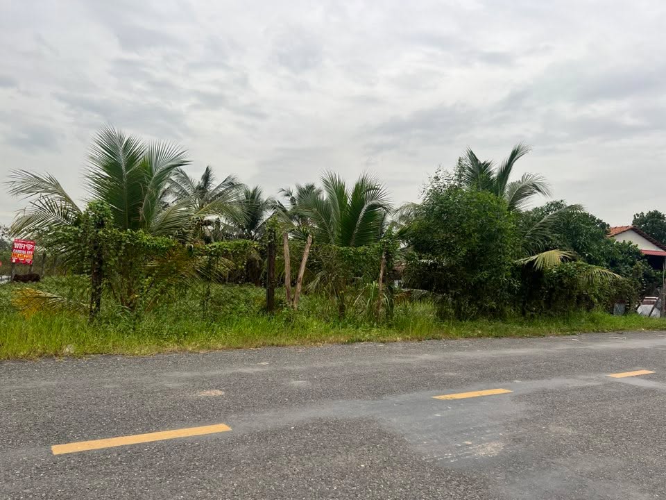 Đất nền Đức Lập Hạ, Đức Hòa 500m² giá 2.7 tỷ - Mặt tiền đường nhựa rộng rãi!