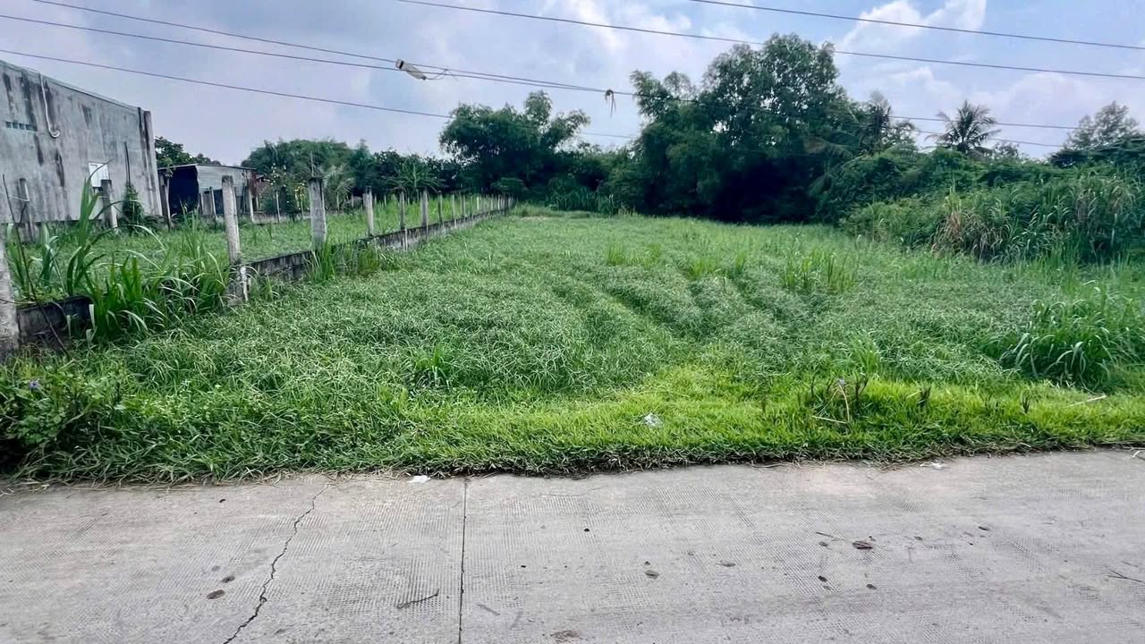 Đất thổ cư 665m² xã Đức Lập Hạ giá 2.5 tỷ - Sổ hồng riêng, đường nhựa tới nơi!