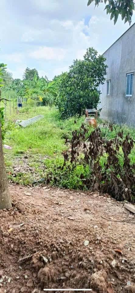 Đất nền Nhị Mỹ, Cao Lãnh 250m² giá 620 triệu - Cơ hội đầu tư hấp dẫn!