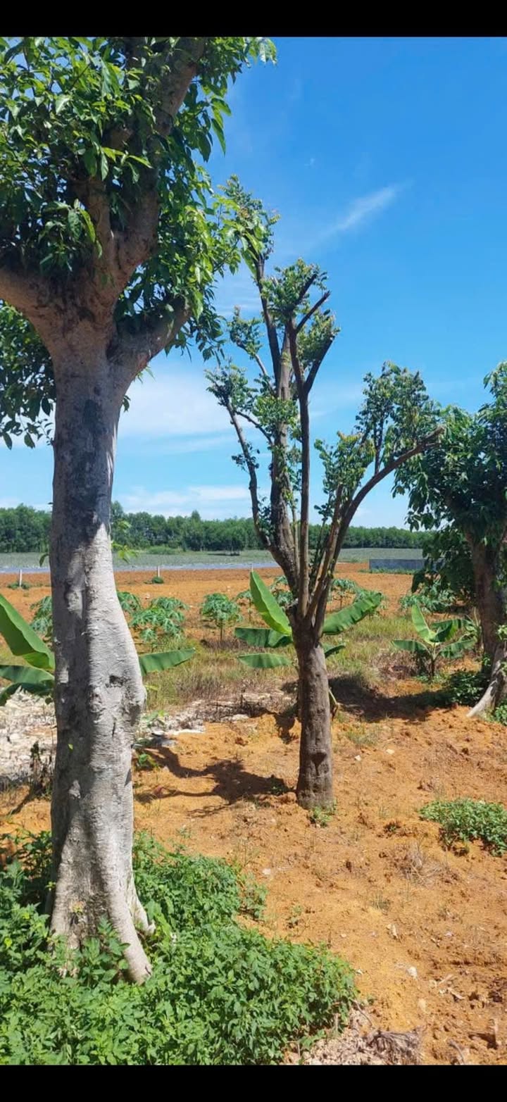 Đất du lịch 4.500m² phường Tây Hoa Lư, Ninh Bình - Sổ đỏ chính chủ, pháp lý rõ ràng!