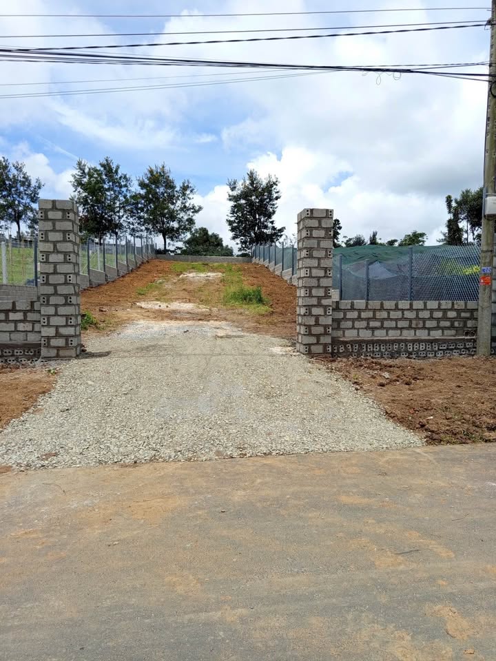 Đất nền nghỉ dưỡng Bảo Lộc 552m² giá 3.5 tỷ - Vị trí đắc địa, tiềm năng sinh lời!