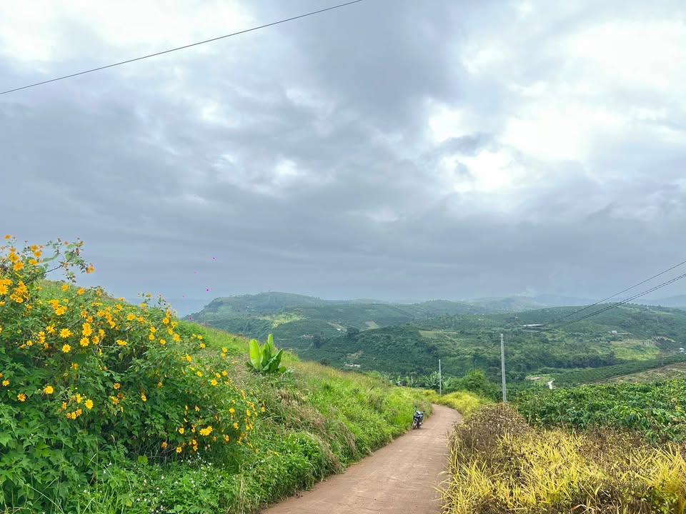 Đất nền Tân Thượng Di Linh 223m² giá chỉ 350 triệu - Cơ hội đầu tư tuyệt vời!