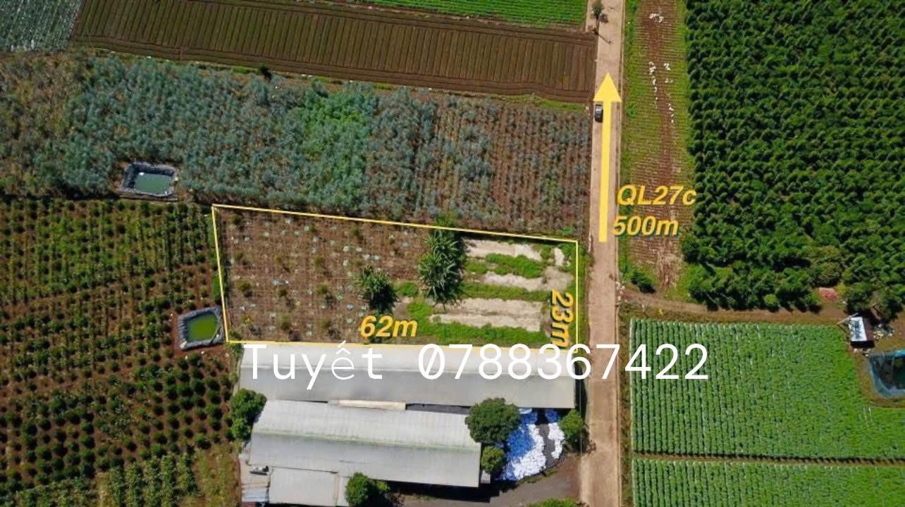 Lô đất vườn Hiệp Thạnh 1.666m² giá 6 tỷ - Cơ hội đầu tư sinh lời!