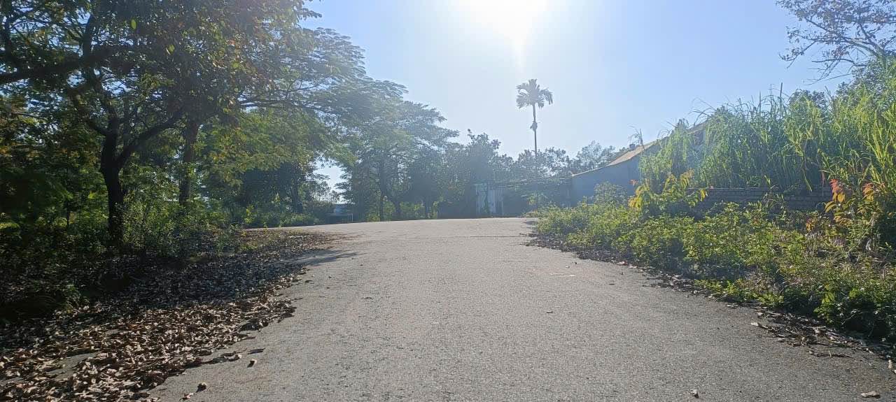 Đất nền 200m² Vai Réo, Phú Cát, Quốc Oai giá 8 tỷ - Đầu tư sinh lời hấp dẫn!