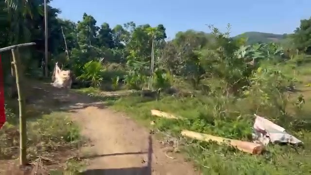 Đất thổ cư 2834m² tại Thượng Cốc, Lạc Sơn giá chỉ 2 tỷ - View hồ tuyệt đẹp!