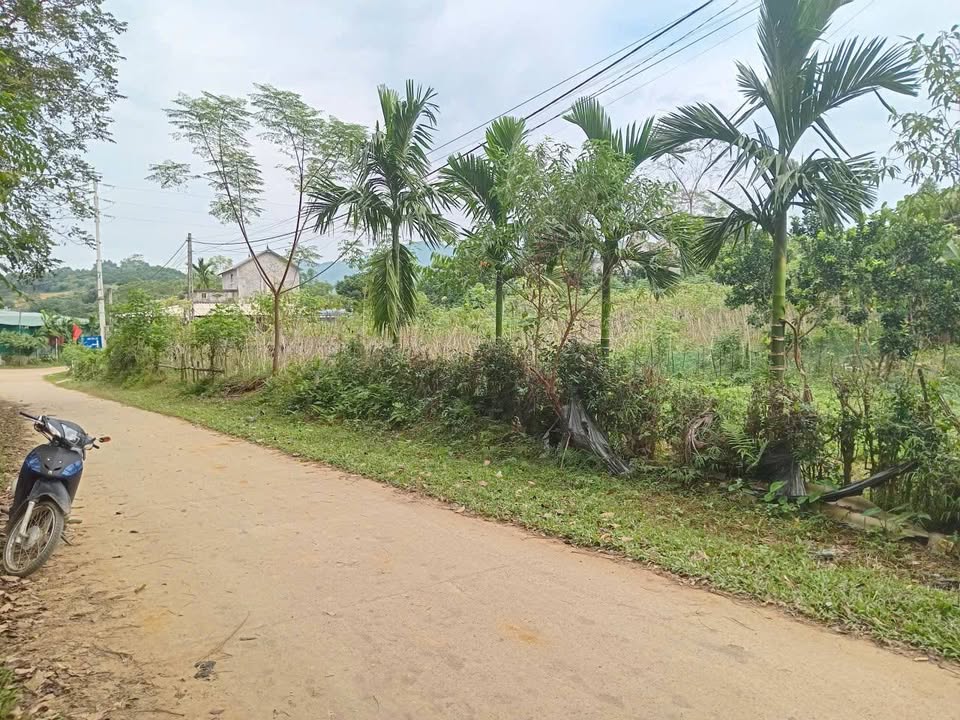 Đất thổ cư 300m² tại Xóm Tân Lập, Lỗ Sơn chỉ 300 triệu - Đầu tư sinh lời!