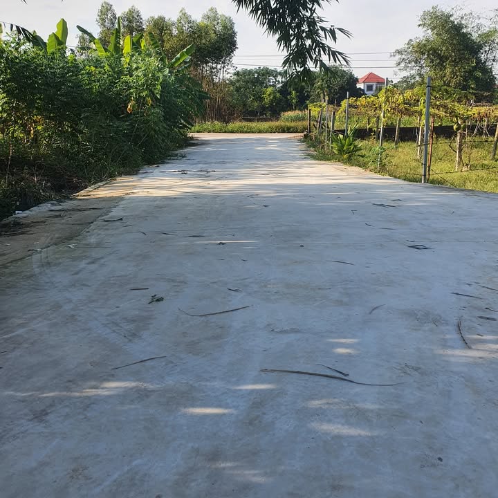 Đất nền Danh Thắng Hiệp Hòa Bắc Giang 100m² giá chỉ 6xx triệu - Đầu tư sinh lời hấp dẫn!