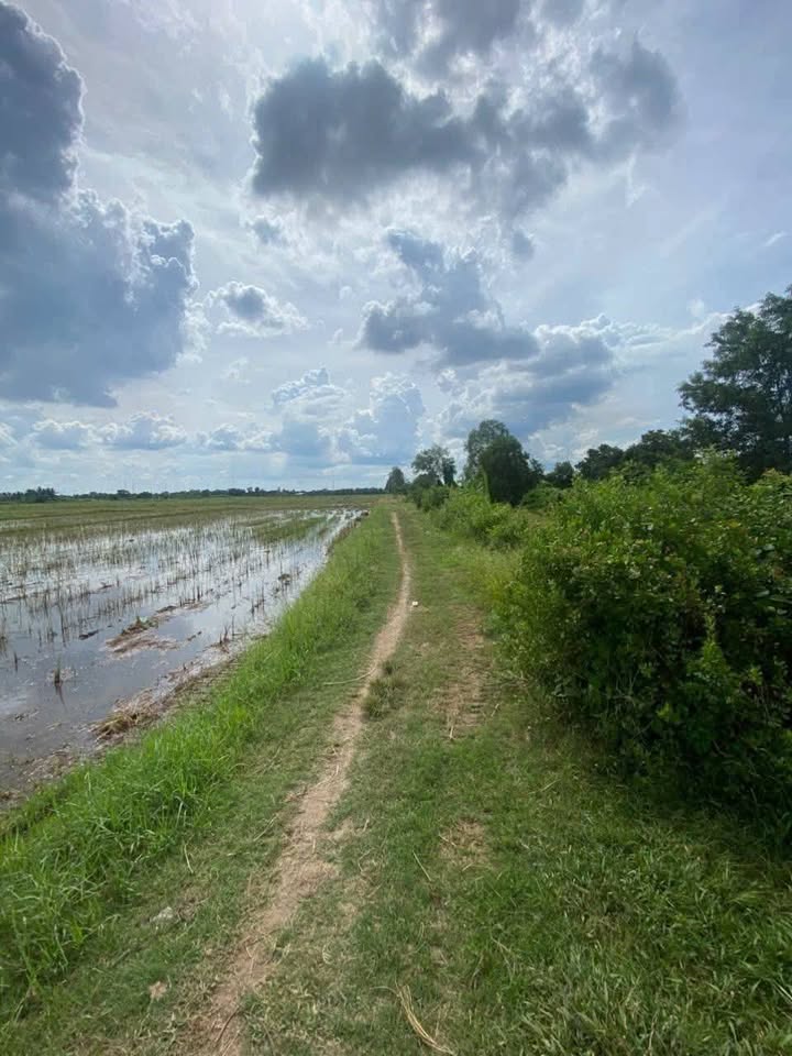 Đất vườn dừa xã An Bình Tây, Ba Tri 7400m² giá 1.2 tỷ - Đầu tư sinh lời hấp dẫn!