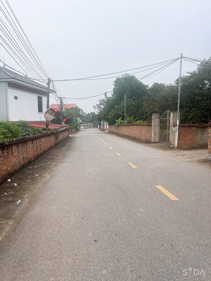 Đất nền chính chủ phường Thanh Đình, Việt Trì 225m² - Giá chỉ 2.5 tỷ VND!