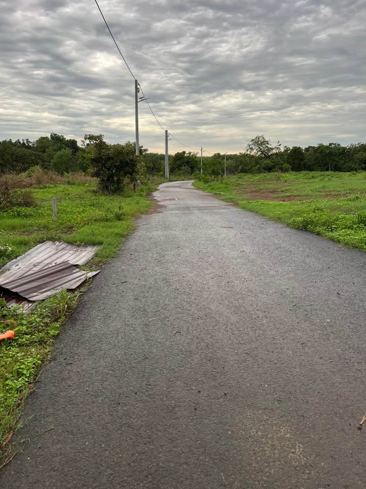 Đất thổ cư Phú Trung, Phú Riềng 300m² - Giá thỏa thuận tốt!