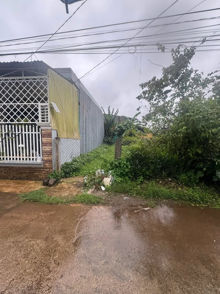 Đất nền 125m² hẻm 420 Trường Chinh - Giá chỉ 1.5 tỷ, vị trí đắc địa!