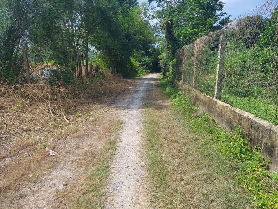 Đất nền mặt tiền Đường Pháo Binh, Gò Dầu, 250m² giá 560 triệu - Đầu tư sinh lời ngay!