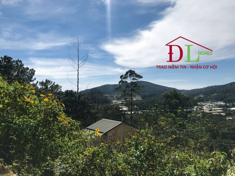 Đất nông nghiệp Ngô Thì Sỹ Đà Lạt 648,5m² giá 6 tỷ - Đầu tư sinh lời bền vững!