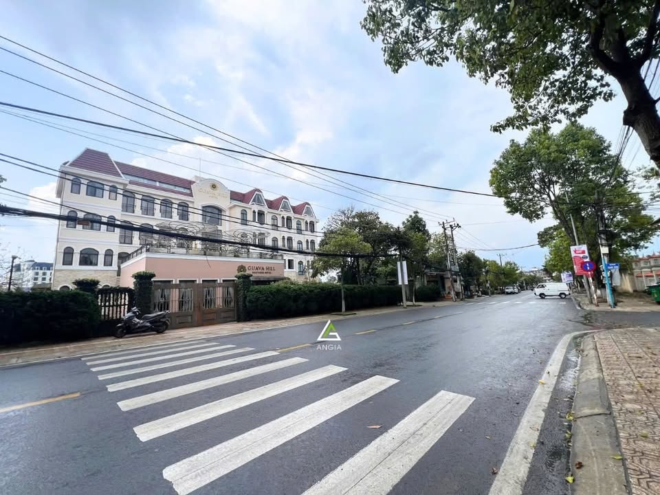 Nhà mặt tiền Nguyễn Đình Chiểu Đà Lạt 493m² giá 62 tỷ - Đầu tư sinh lời ngay!