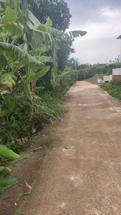 Đất nền Nam Ban Lâm Hà 6900m² giá 1.3 tỷ - Đầu tư sinh lời ngay!