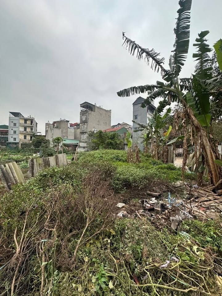 Đất nền Lĩnh Nam 235m² giá 2.8 tỷ - Vị trí đắc địa, cơ hội đầu tư hấp dẫn!