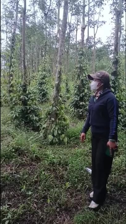 Đất nông nghiệp xã Bình Trung, Châu Đức 7600m² giá 1.295 tỷ - Đầu tư sinh lời vượt trội!