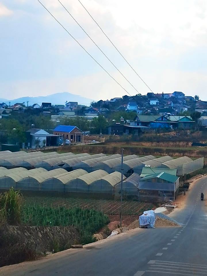 Đất nền Lạc Dương 172m² giá 700 triệu - Vị trí thuận lợi, chính chủ bán gấp!