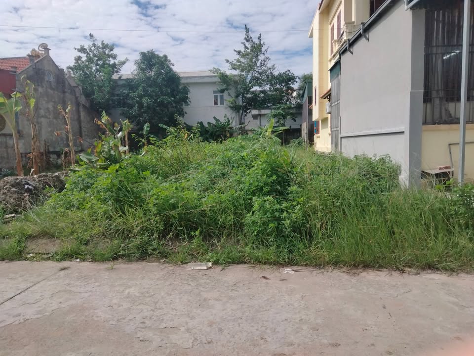 Đất nền khu quy hoạch dân cư Lỗ Cừ, Quảng Yên 184m² - Giá tốt thương lượng!