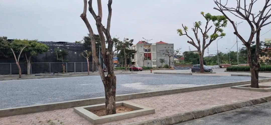 Bán lô đất biệt thự phường Tân Bình, Hải Dương 227m² - Đường đô thị 11.5m, hướng Đông Tây