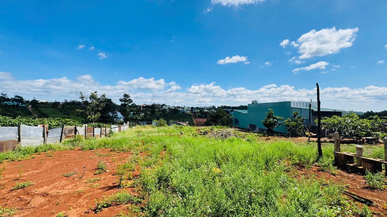 Đất thổ cư Diên Hồng - 250m² giá thỏa thuận - Hướng Tây Bắc đẹp!