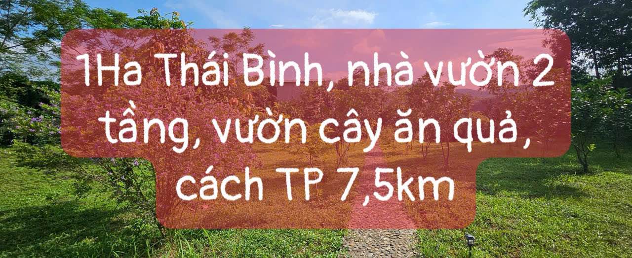 Farm 1Ha tại Thôn 5 Thái Bình, Yên Sơn chỉ 3 tỷ - Cơ hội vàng cho nhà đầu tư!