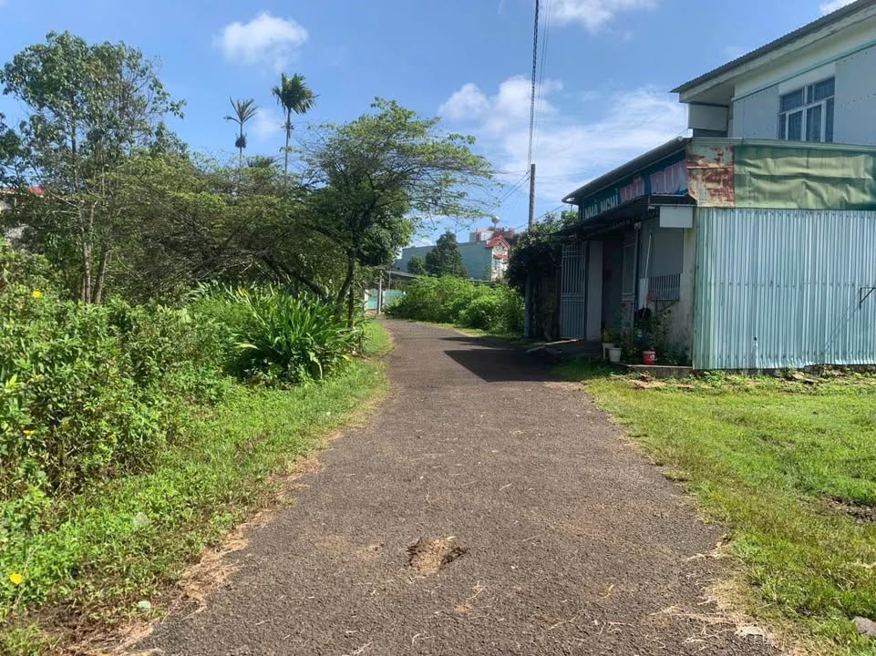 Đất hẻm 729 Phạm Văn Đồng, TP. Pleiku, 160m² giá 800 triệu - Lô đất đẹp, thổ cư sẵn!