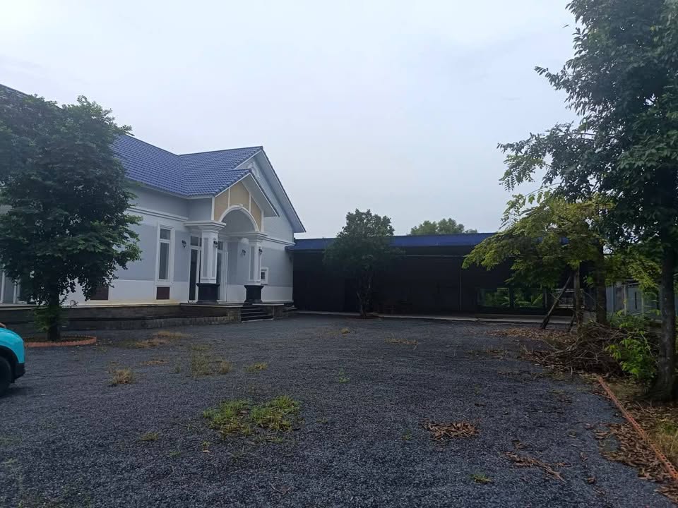 Biệt thự nhà vườn Tân Đông, Tân Châu 1200m² giá 4.5 tỷ - Đầu tư sinh lời ngay!