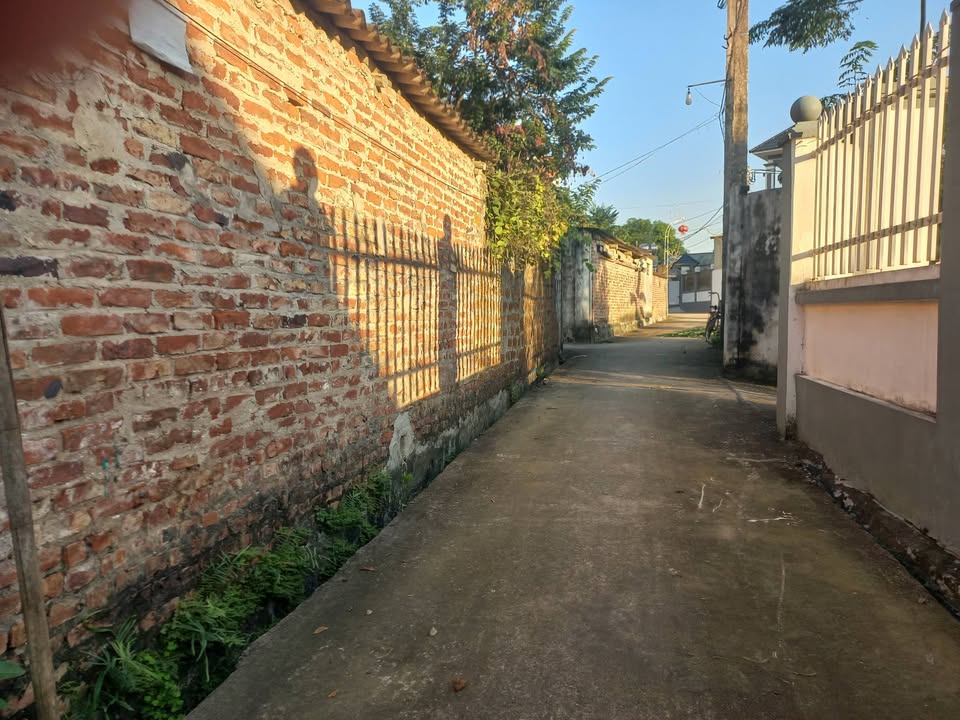 Đất thổ cư 133m² mặt tiền 6m tại thôn Yên Trình - Giá chỉ 1 tỷ!