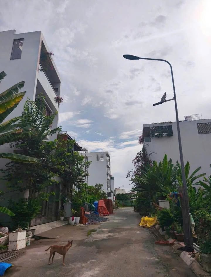 Đất thổ cư Phước Kiển Nhà Bè 96m² giá 1.1 tỷ - Đầu tư sinh lời hấp dẫn!