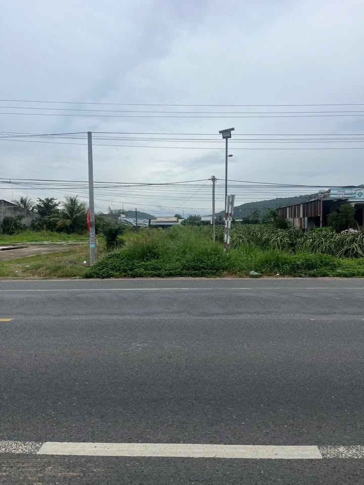 Đất thổ cư tại Km19 Quốc lộ 1A, Hàm Cường, 324m² giá 1.5 tỷ - Sổ hồng riêng, thương lượng!