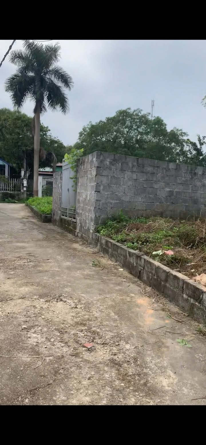 Đất thổ cư 96m² tại Tích Lương, Thái Nguyên - Giá chỉ 900 triệu!