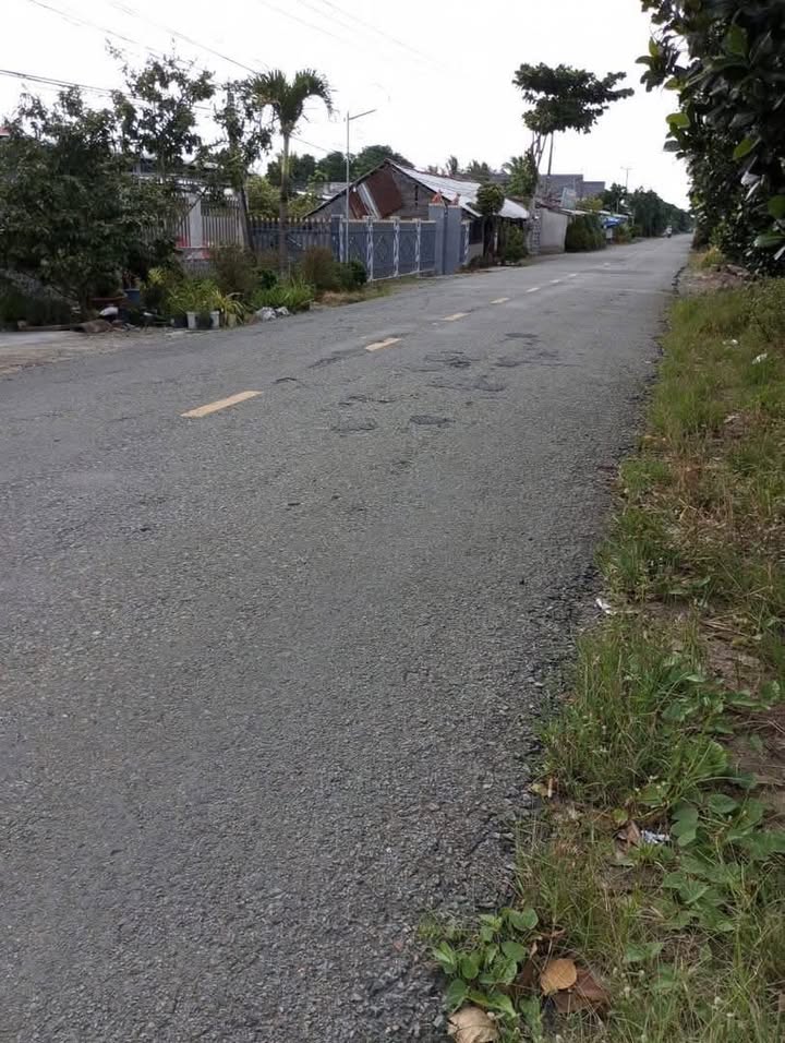 Đất ruộng 6000m² tại Tỉnh Lộ 865, Hậu Mỹ Bắc B, Cái Bè - Giá chỉ 620 triệu!