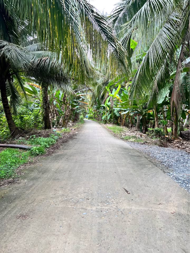 Đất nền Xuân Đông, Chợ Gạo, Tiền Giang 324m² - Giá đầu tư chỉ từ 400 triệu!