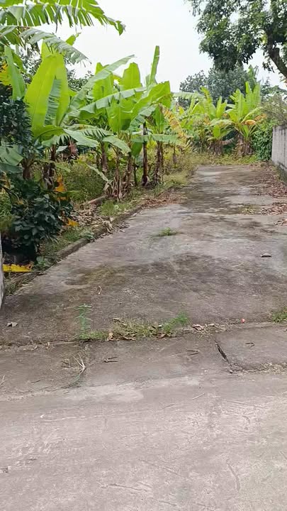 Đất nền An Ninh, Bình Lục 237m² - Chính chủ bán không lỗi phong thủy!