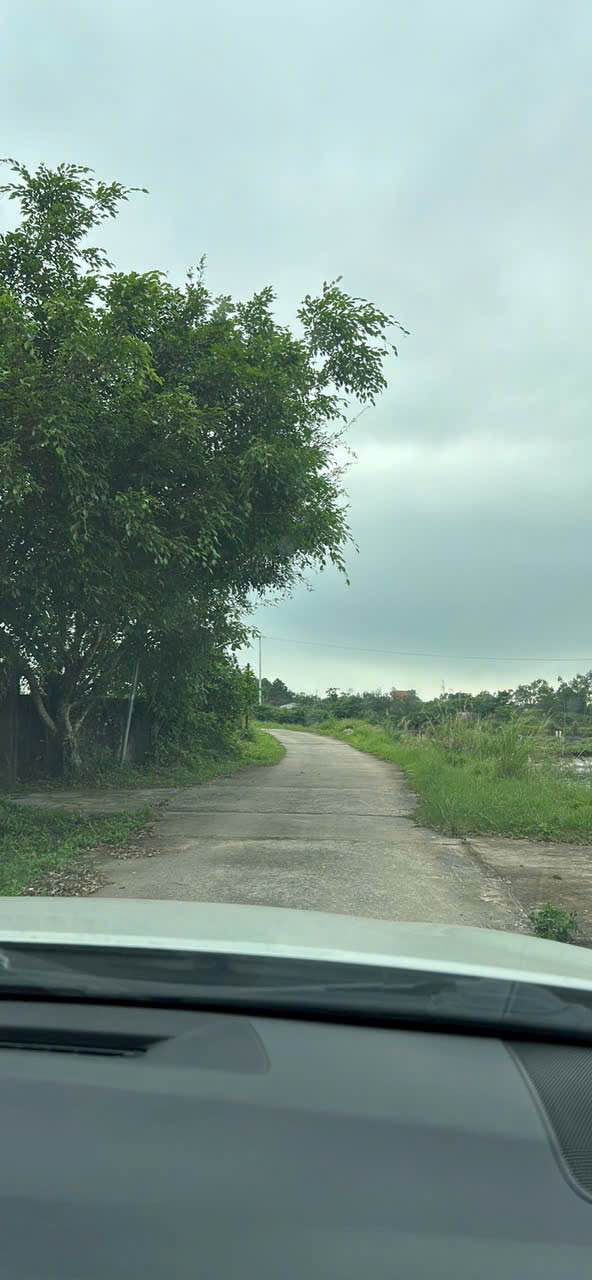 Đất nền Móng Cái 110m² giá thỏa thuận - Sổ hồng chính chủ, ô tô vào tận nơi!