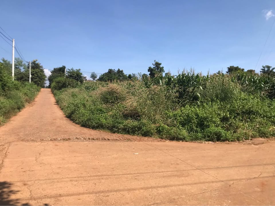 Đất nền Cư Suê 125m² giá thỏa thuận - Đầu tư sinh lời cao!