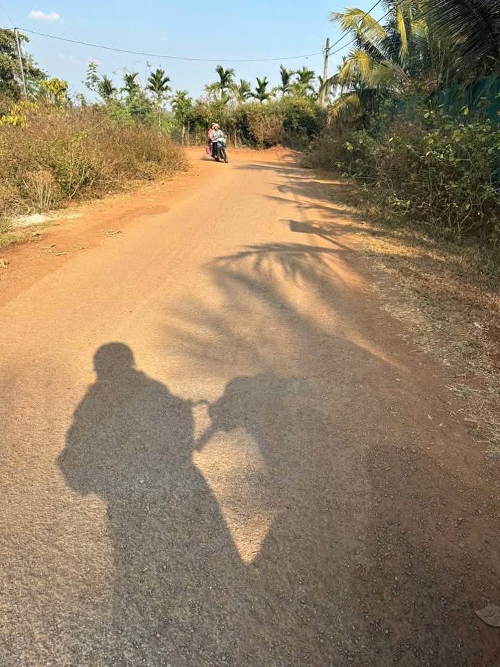 Đất thổ cư Tân Lập Buôn Ma Thuột 300m² giá chỉ 1.8 tỷ - Cơ hội đầu tư hấp dẫn!