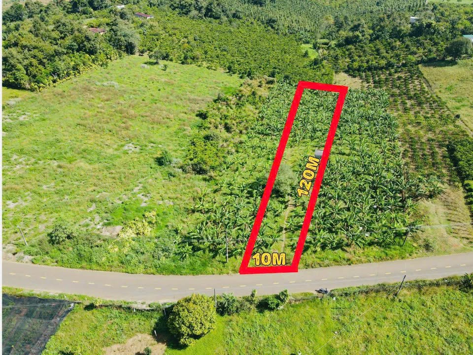 Đất mặt tiền Âu Cơ, Tân Lạc 1235m² giá 1.5 tỷ - Đầu tư sinh lời ngay!