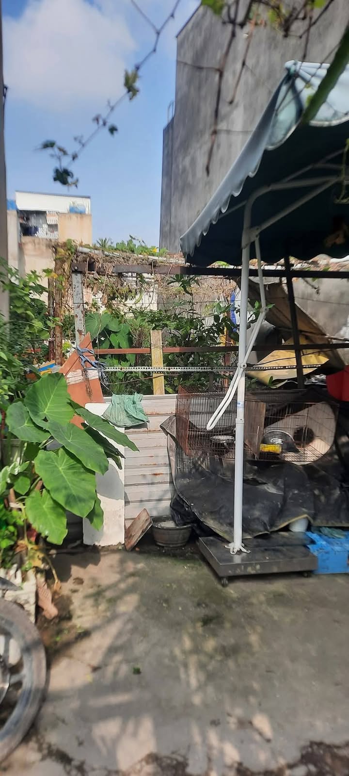 Đất nền Vĩnh Lộc B 48m² giá 700 triệu - Cơ hội đầu tư tuyệt vời!