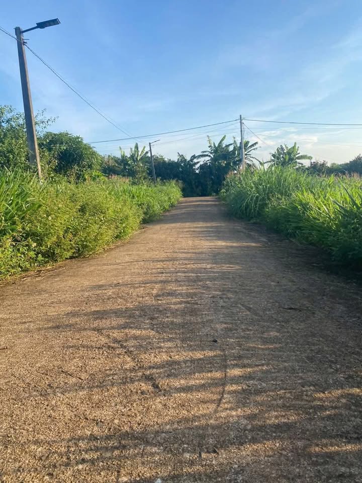 Đất thổ cư Cư Suê 1080m² giá 980 triệu - Cơ hội đầu tư tuyệt vời!