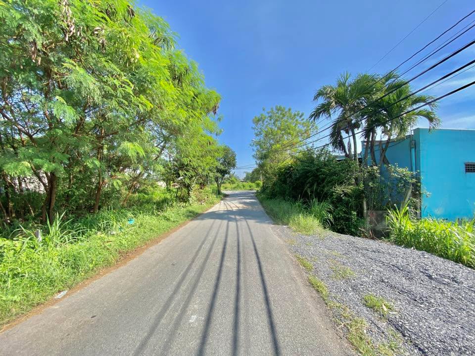 Đất thổ cư ấp Hậu, Tân Thông Hội, Củ Chi 130m² - Xây dựng tự do ngay!