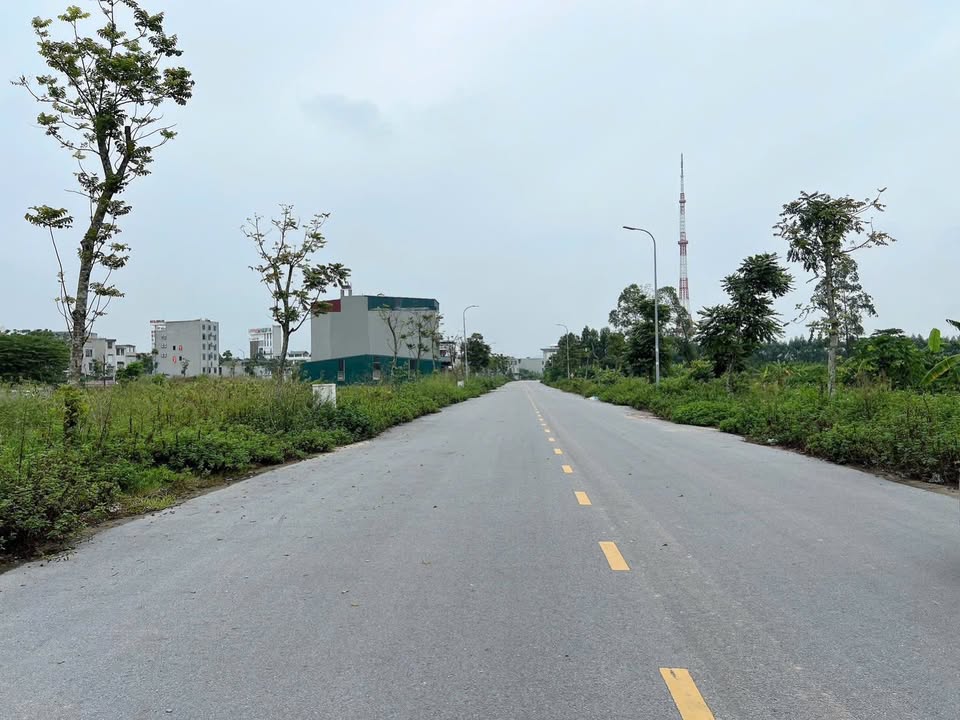 Đất nền Tân Mỹ, Bắc Giang 100m² giá chỉ 3 tỷ - Cơ hội đầu tư không thể bỏ lỡ!